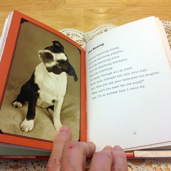 Pet Humor, I could Chew On This. What dogs think.....? - Picture 5 of 9